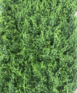 Muro verde / Follaje
